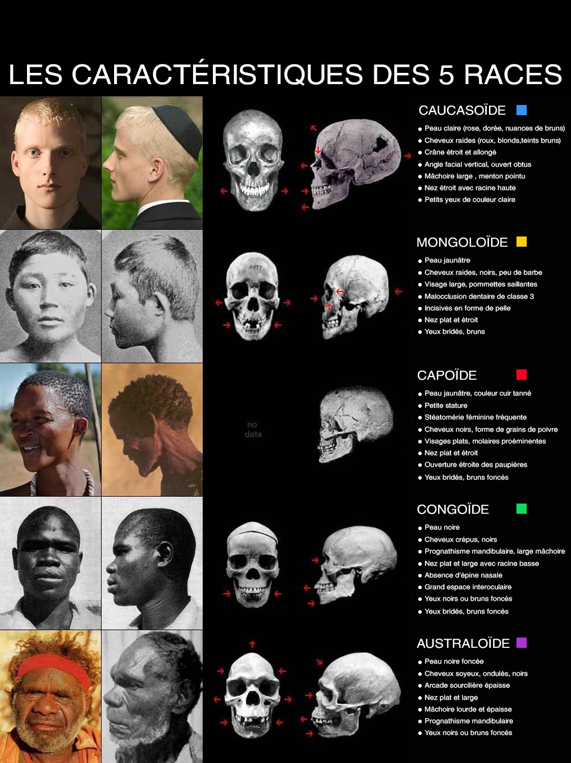 Instruction CiviqueEtMorale🇭🇹 on X: "Le monde est divisé en 5 races  humaines. La division de l'espèce homo sapiens en races est un fait  d'observation élémentaire que la science confirme et précise. 2.