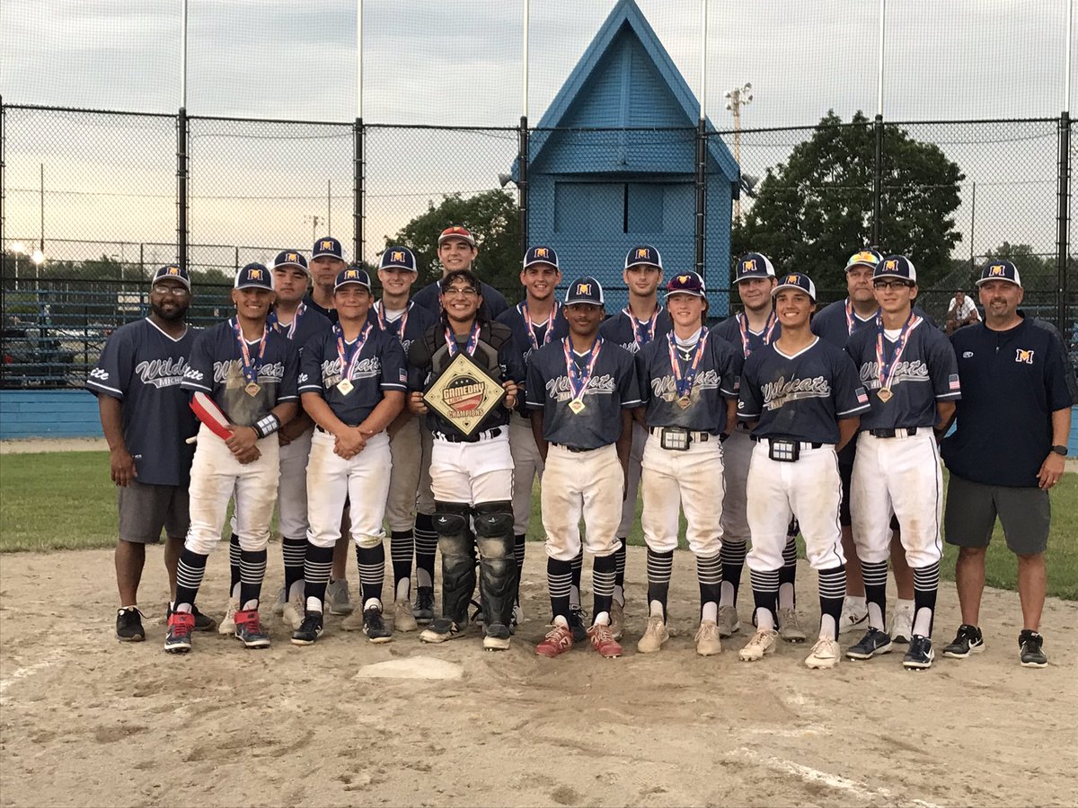 Michigan Wildcats 17u tweet media