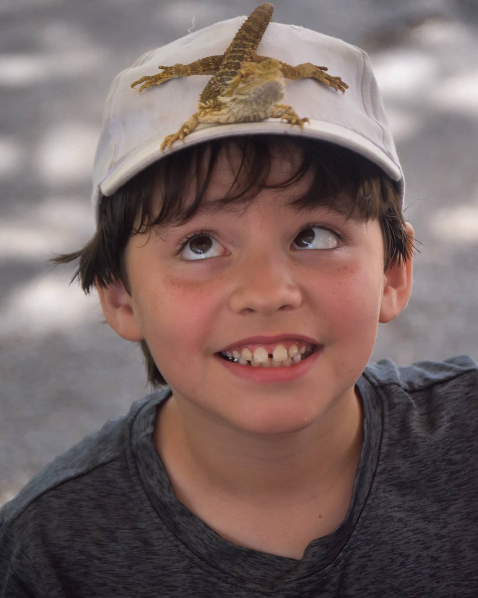 The Dominion Country Club tweet media