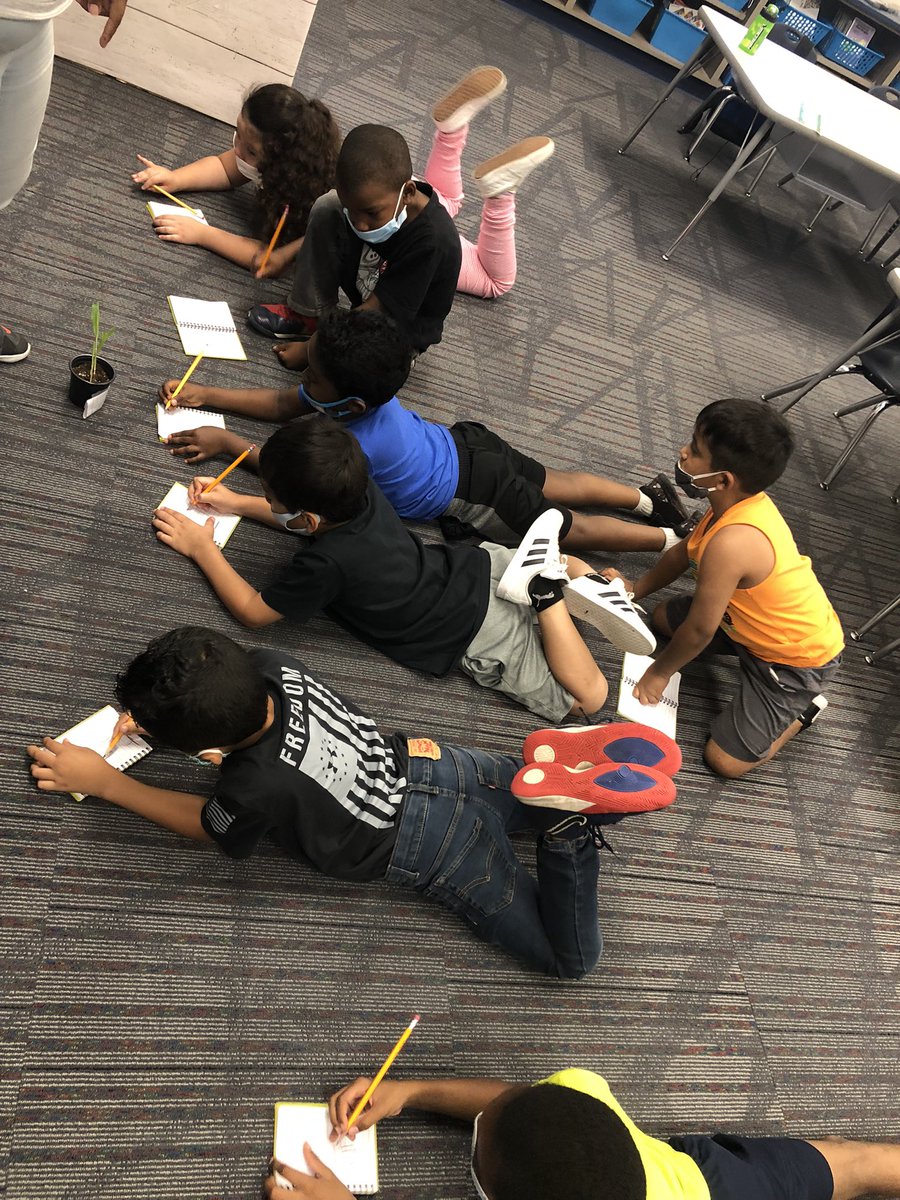 JenBryan1981's tweet photo. Our Shining Stars @silvercityKCK are scientists today during Kansas Corn STEM time. They are growing their own corn! #kansascornstem @kckschools https://t.co/iSFRlpjFXf