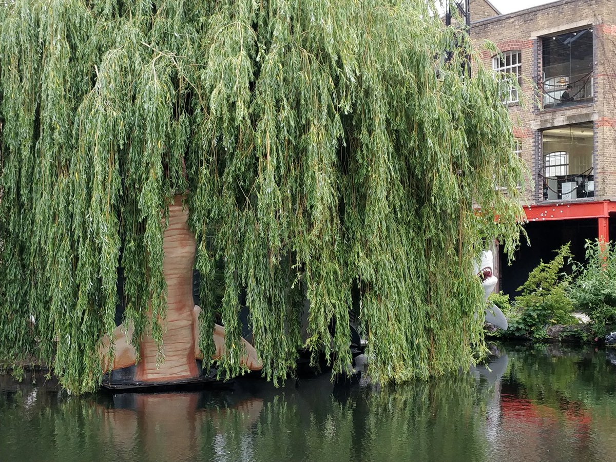 Alex Munn tweet media