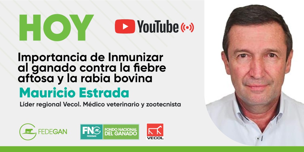 VecolColombia's tweet photo. HOY 📢 ¿Por qué es importante inmunizar el ganado contra la fiebre aftosa y rabia bovina? Infórmese en la charla virtual con el veterinario Mauricio Estrada, líder regional de Vecol.
⏰ 5:00 p. m.
A través del canal de YouTube de Fedegan
Link👉 https://t.co/1zrg0VaxNd https://t.co/STDqihicgu