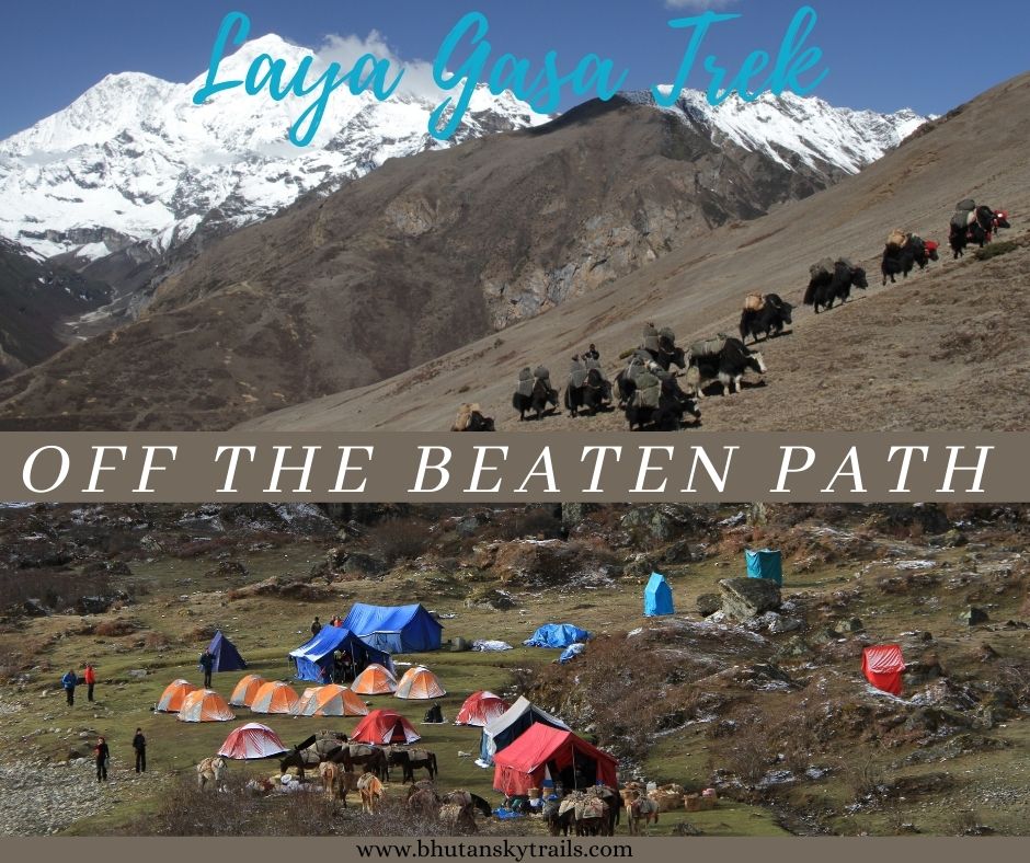 THOUSANDS OF TIRED,
NEVER - SHAKEN, OVER - CIVILIZED PEOPLE ARE BEGINNING TO FIND OUT GOING TO THE MOUNTAINS IS GOING HOME.
THAT WILDERNESS IS A NECESSITY.......
 - JOHN MUIR
#trekkingadventure  #trekking  #tripadvisor  #travel  #travelphotography #traveltips  #nature #mountains