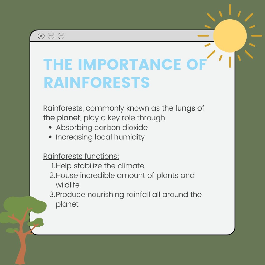 Happy World Rainforest Day 🌳💙

Did you know rainforests are commonly known as the lungs of the planet as they play a key role through absorbing carbon dioxide and increasing local humidity? 💭

#sustainability #rainforest #scenery
