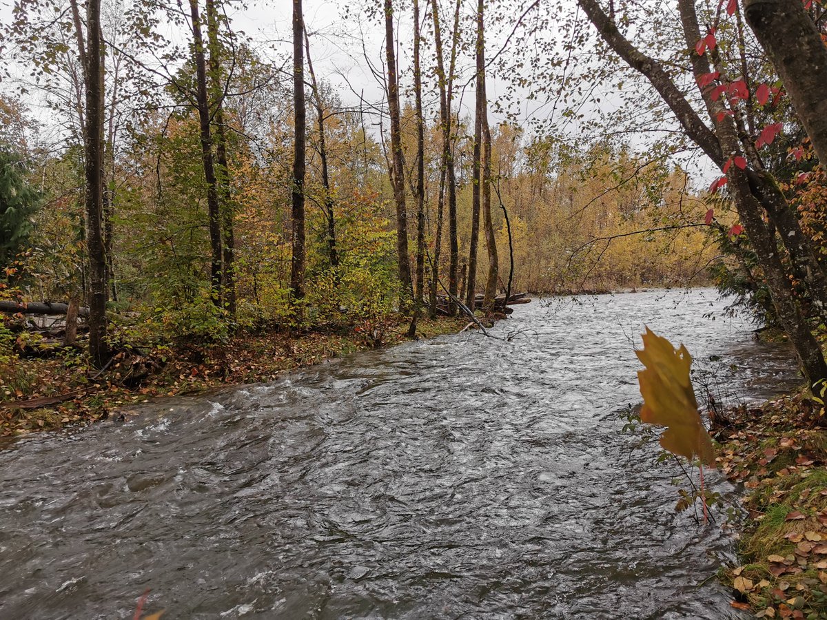 We are so delighted to welcome everyone home to the Poco Inn &amp; Suites Hotel!  On behalf of our entire staff, we extend you a warm, safe and enjoyable stay. 

Please visit us on our website at poco-inn-and-suites.com for availability. 

BOOK DIRECT &amp; EARN DOUBLE AEROPLAN POINTS