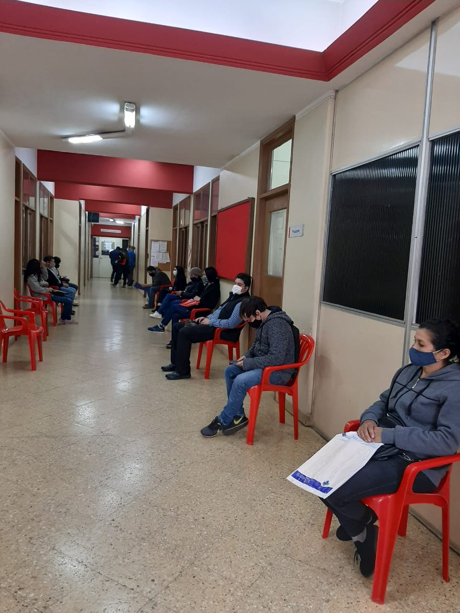 Pedro Alliana tweet media