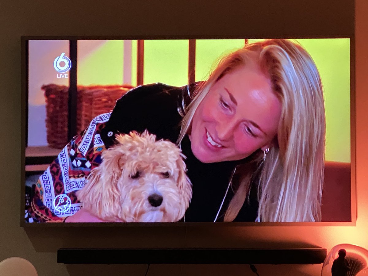 Maltipoo ook BN-er nu… <a href="/IreenvdAssem/">Ireen van den Assem</a> 😉 <a href="/HartvNL/">Hart van Nederland</a> #hartvannederland #hvn