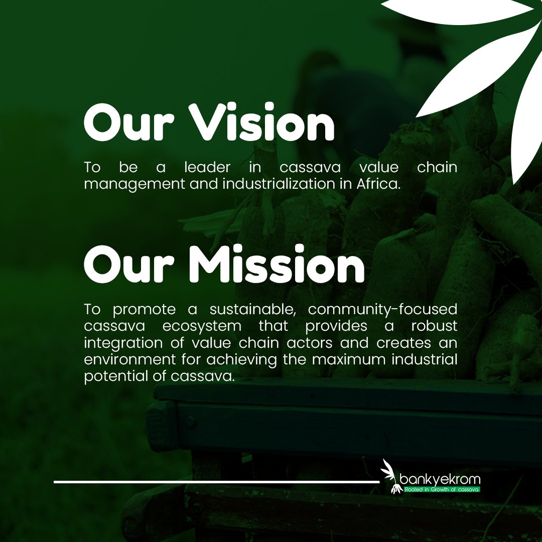 Our Vision, Mission which we hope to achieve and continuously uphold #bankyekrom #cassava #cassavafarming #cassavafarm🌾