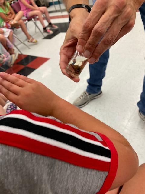 KCBOE's tweet photo. The Sissonville Elementary Summer Academy site had a special visitor -- The 'Bug Guy.' 🐛🦋🐞🦗

#SummerSOLEWV #KCSpride https://t.co/zonuymZFQ3