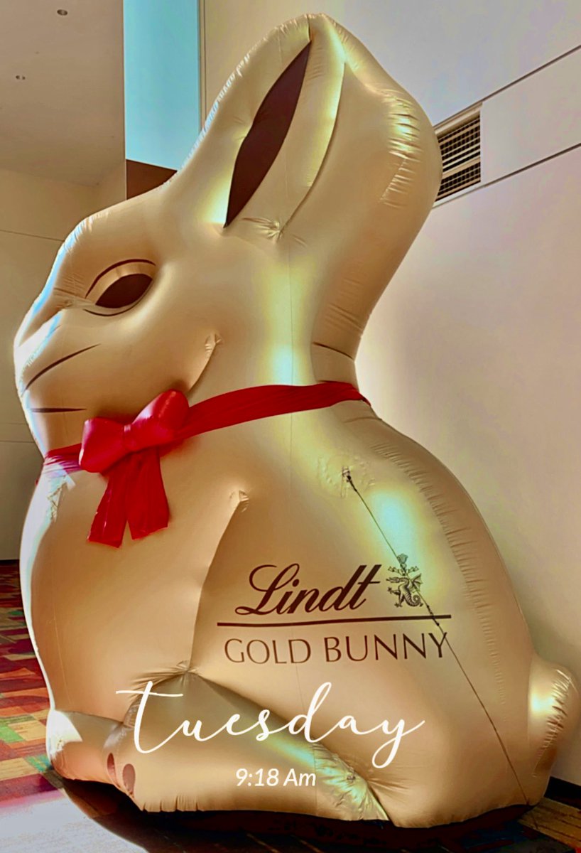 GinaSerf's tweet photo. Welcome to INDY! 🍫🍭🍫🍬🍫@SWEETSandSNACKS! #LoveIndy @VisitIndy @icclos https://t.co/YKsHPTqCfk
