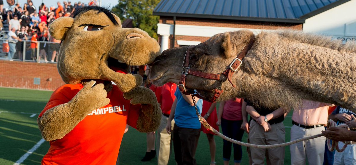 Campbell Alumni (@campbellalumni) on Twitter photo Happy International Camel Day! #GoCamels #CampbellAlumni <a href="/GoCamels/">Campbell Athletics</a> <a href="/campbelledu/">Campbell University</a> Happy International Camel Day! #GoCamels #CampbellAlumni <a href="/GoCamels/">Campbell Athletics</a> <a href="/campbelledu/">Campbell University</a>