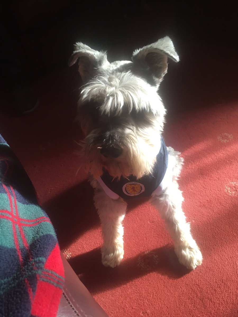 rubyunderhill's tweet image. They’re ready