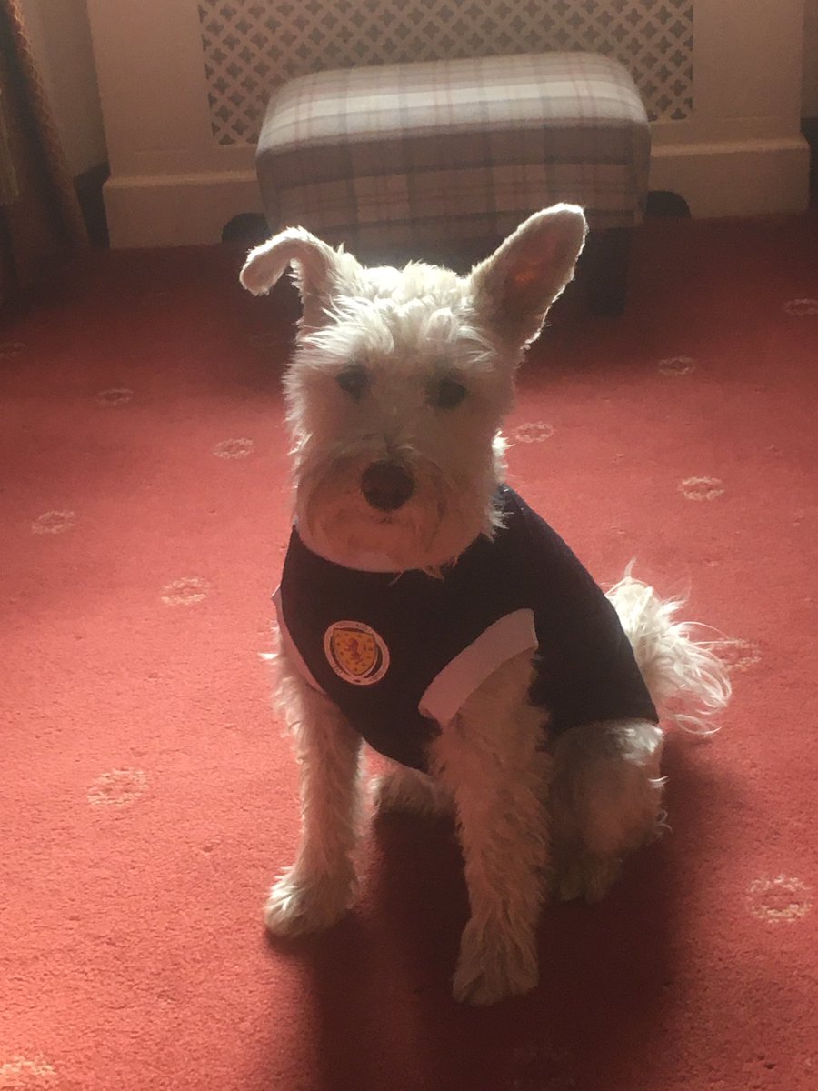 rubyunderhill's tweet image. They’re ready