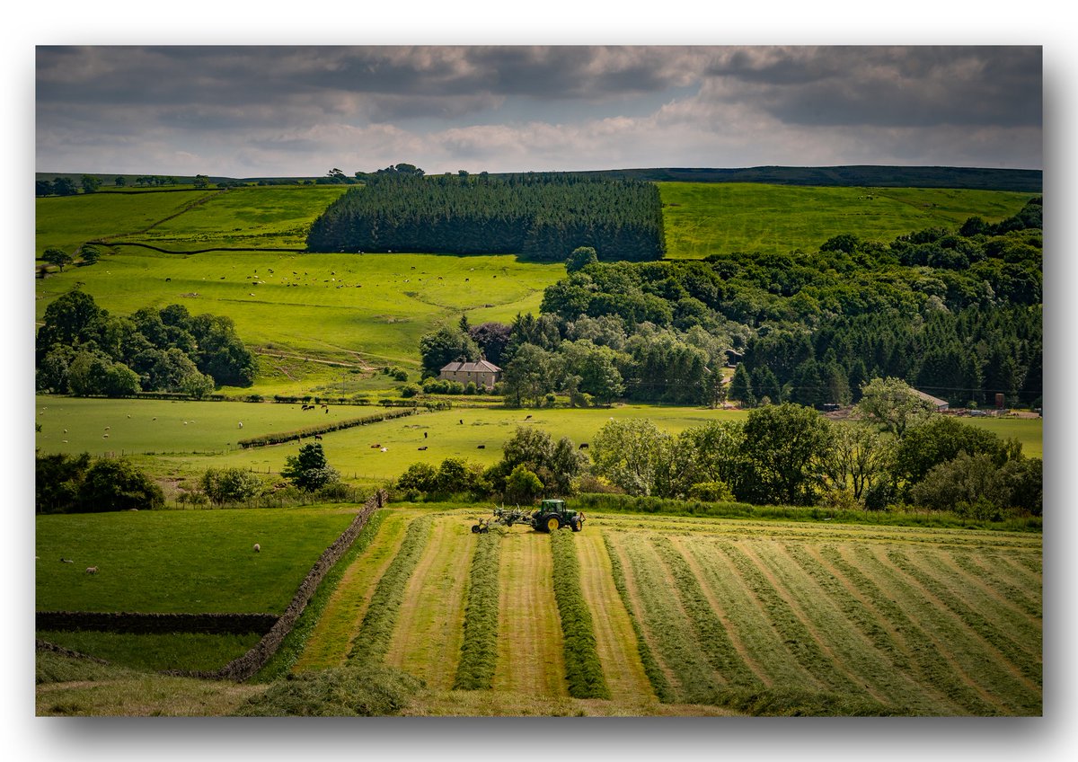 CorbettDonna's tweet photo. Sorting out the silage, near Melkridge, Northumberland.
22 June 2021
#silage #silagemaking #Melkridge #Northumberland #June #tractor #rotaryrake https://t.co/tuTGSf1hSQ