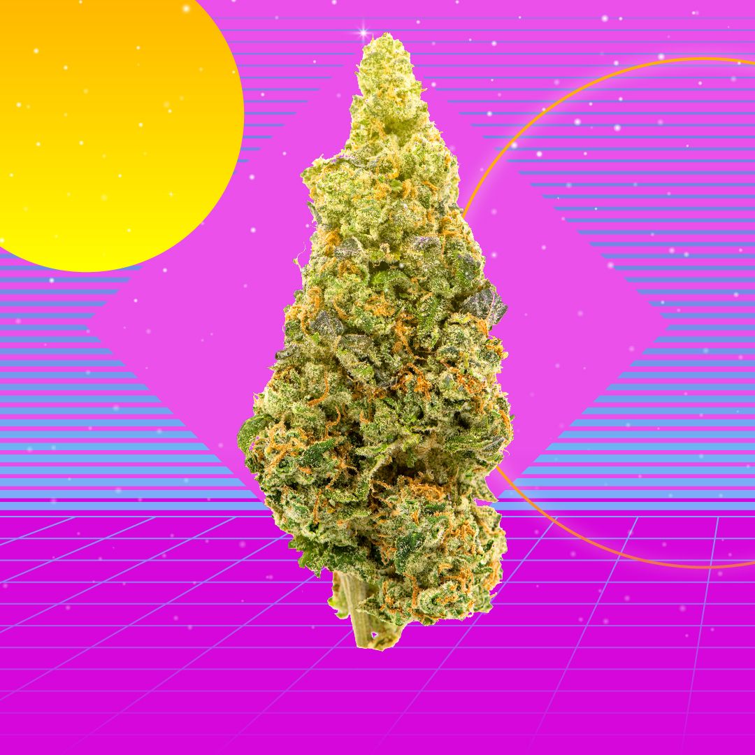 davidrdowns's tweet photo. The @Leafly 'Best #weed strains of summer 2021' strain digest: π² π
https://t.co/1n0ddo5Rxx
DAYTIME: π
#strawberrycough
#superlemonhaze
#pineapplemintz
#Lavaflower
#xj13
#jackflash
#durban
#ztrawberriez
#guazazkitlez
#hellcat
#MissDNA
#Strawberriedandcream https://t.co/46KfzTdXTL