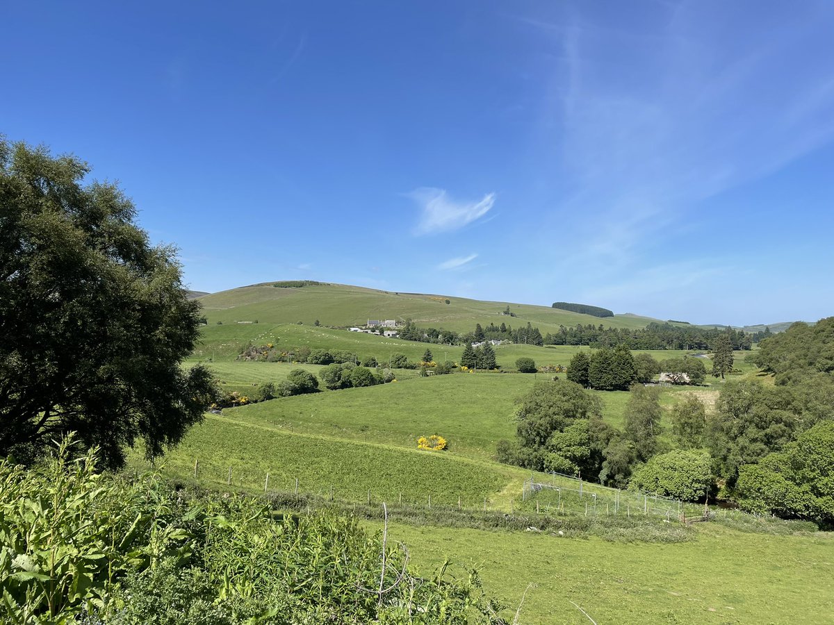 sam_dowdall's tweet photo. With a viewpoint like this what’s not to love about the #Cabrach 😍 https://t.co/14Kor6wMlM