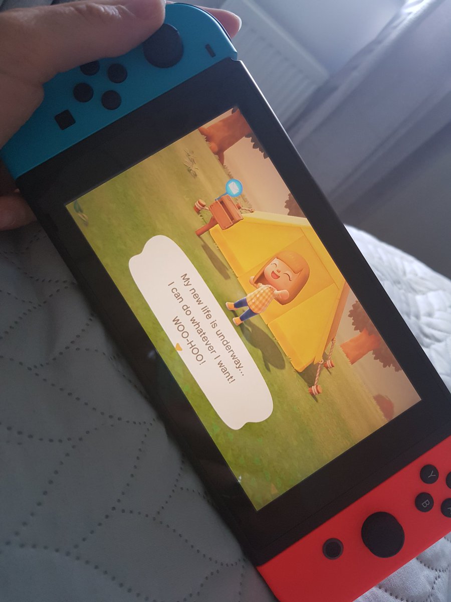 TeacherTaylor2's tweet photo. A little bit late on the Animal Crossing hype but Persephone is ready to explore Elysium Island 🐾 https://t.co/WN9Rdj3fF9