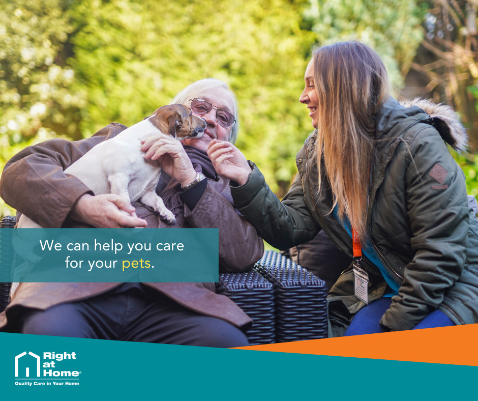 One of the saddest parts about moving out of your home and into a care home, can be separating from your pets. Our CareGivers love pets and will help you to take care of them as part of our #LiveInCare service. Find out more on our website.