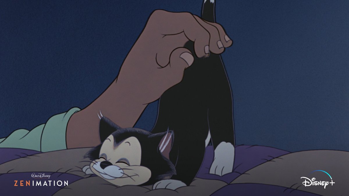 DisneyAnimation's tweet photo. Enjoy the everyday comforts of life ✨with all new episodes of #Zenimation, streaming now on @DisneyPlus. https://t.co/o5IbcgGdvP
