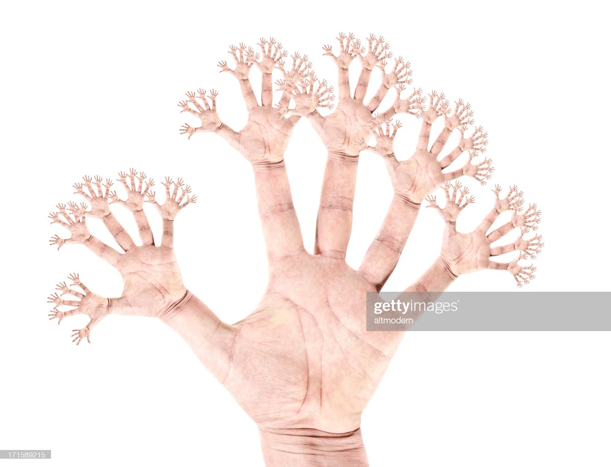 Anna Dorfman 🥯 tweet media