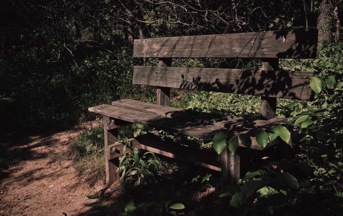 Light_Illusions's tweet photo. Bench out in the woods
#photography #NaturePhotography #aesthetic #aestheticphotography #outdoors #photoedits https://t.co/v56WcS72JH