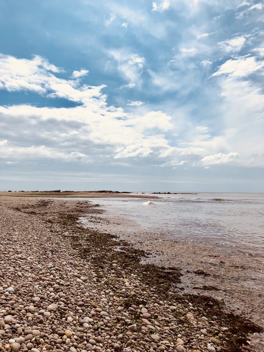 Tjj70Jones's tweet photo. Average kind of day, wbu? #Devon #Budleigh #Ladram https://t.co/0gwO9xbsmP
