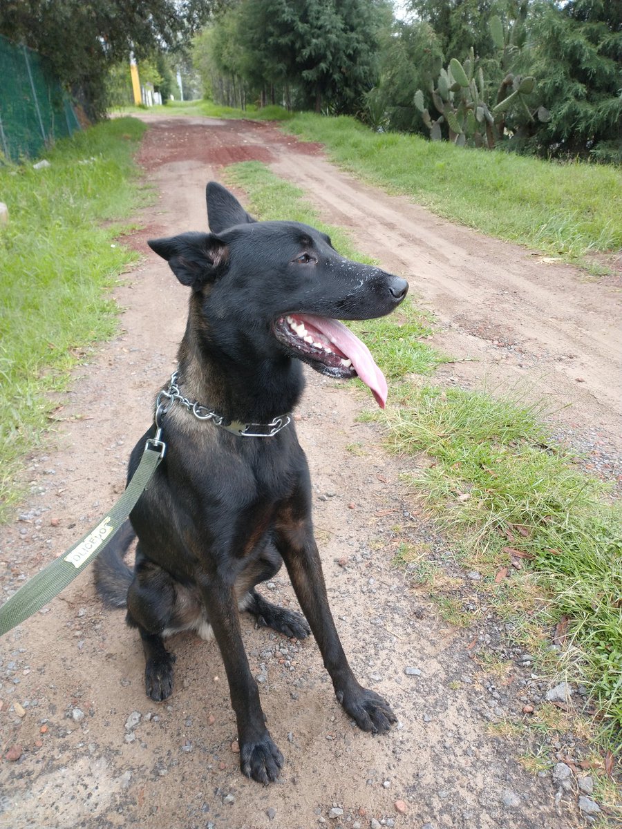 🅹🆄🅰🅽 🅲🅰🆁🅻🅸🆃🅾🆂 🇲🇽 tweet media