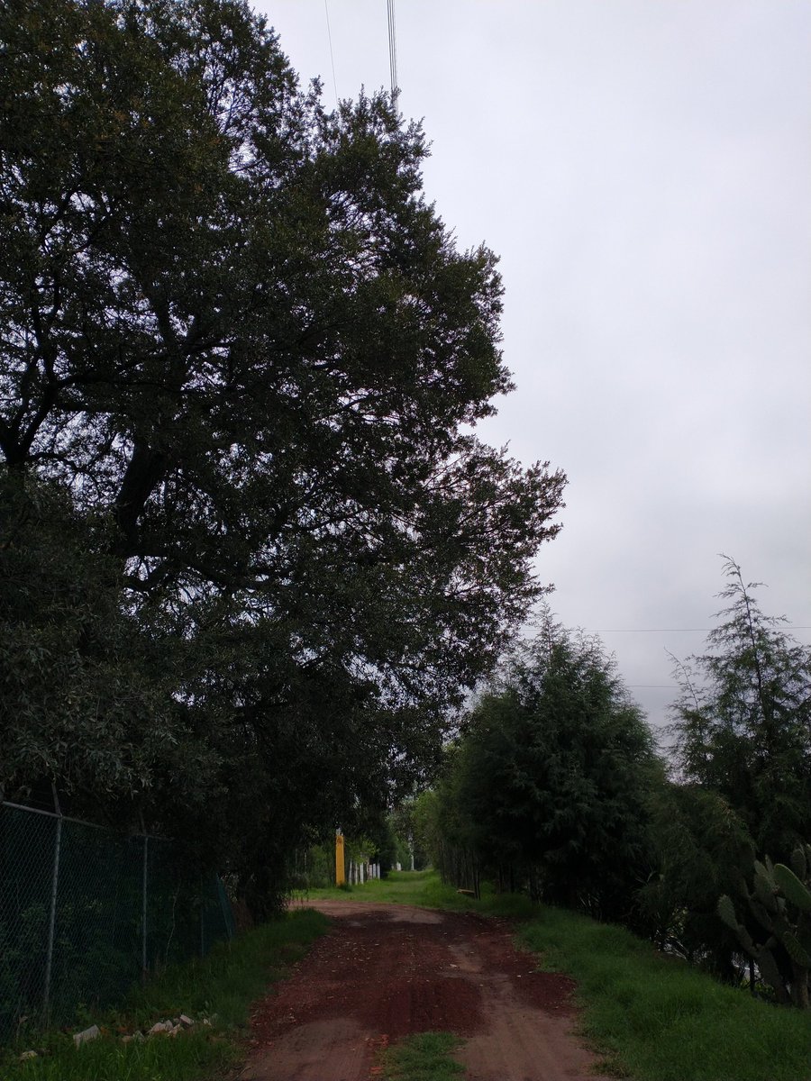 🅹🆄🅰🅽 🅲🅰🆁🅻🅸🆃🅾🆂 🇲🇽 tweet media