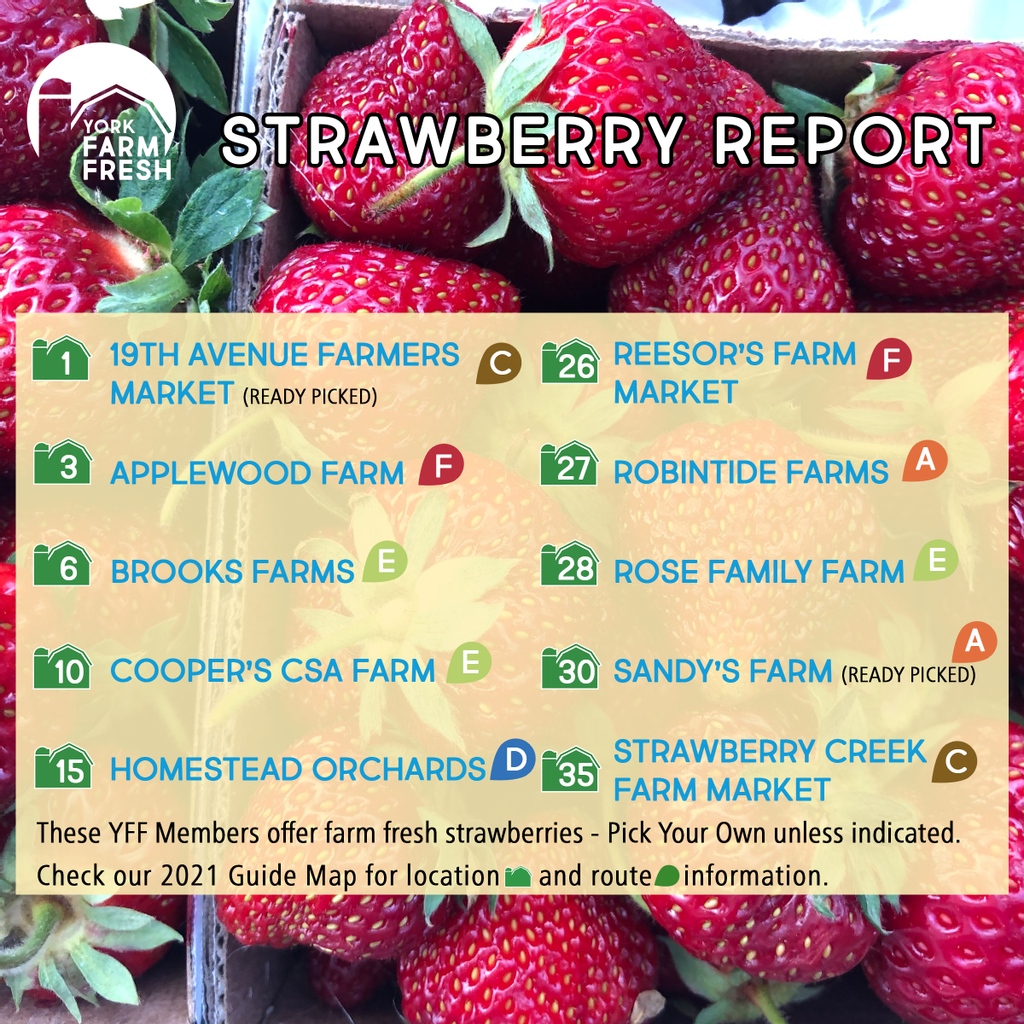 York Farm Fresh (@yorkfarmfresh) on Twitter photo Strawberry season has arrived in York Region 🍓💚
<a href="/yorkfarmfresh/">York Farm Fresh</a> members offer access to their fields for picking or ready picked berries in their markets
bit.ly/3gTurWe
#loveyrfood #seasonal #getoutside Strawberry season has arrived in York Region 🍓💚
<a href="/yorkfarmfresh/">York Farm Fresh</a> members offer access to their fields for picking or ready picked berries in their markets
bit.ly/3gTurWe
#loveyrfood #seasonal #getoutside
