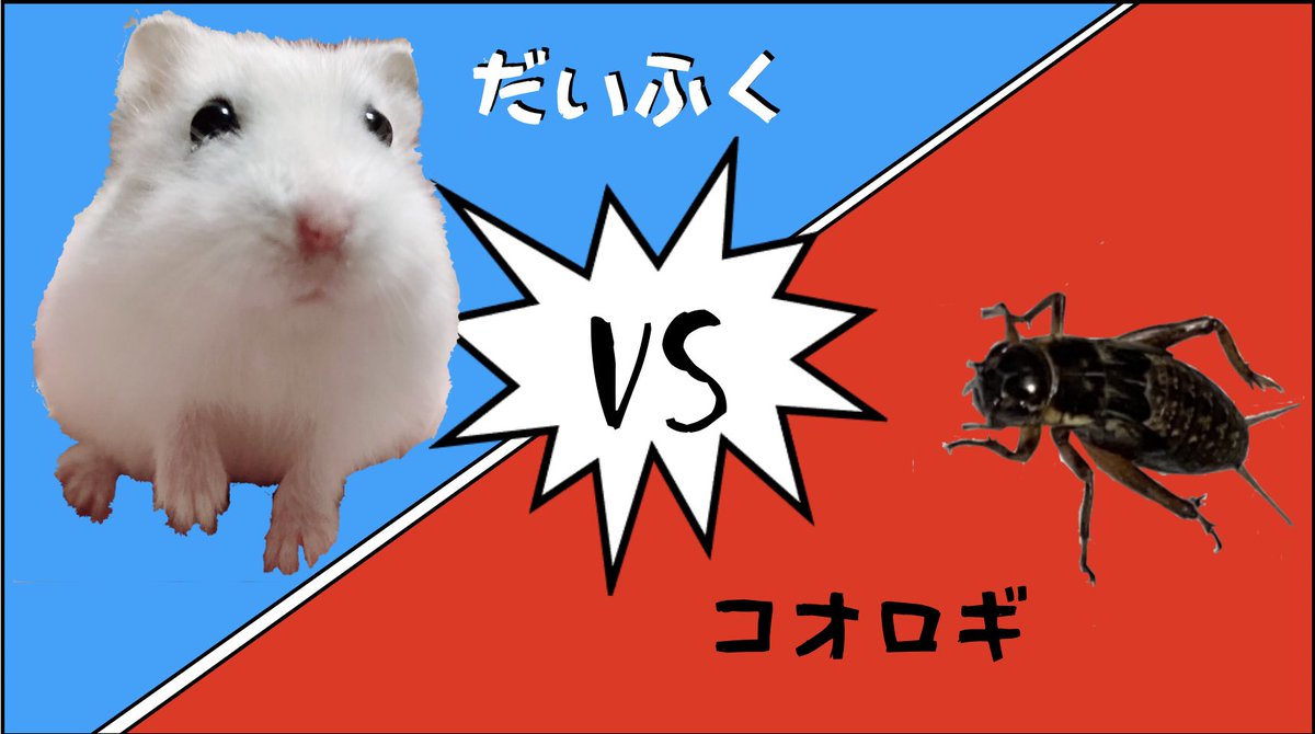 ちゃんねるなぎ Npayestsauka1c3 Twitter ちゃんねるなぎ Npayestsauka1c3 Twitter
