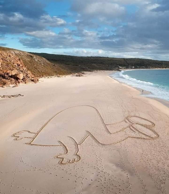 sharkattack67's tweet photo. Yes!
Some days are exactly like this...
#getawayfromitall
#NotDealing
#adultingsucks https://t.co/kywBe5rJh6