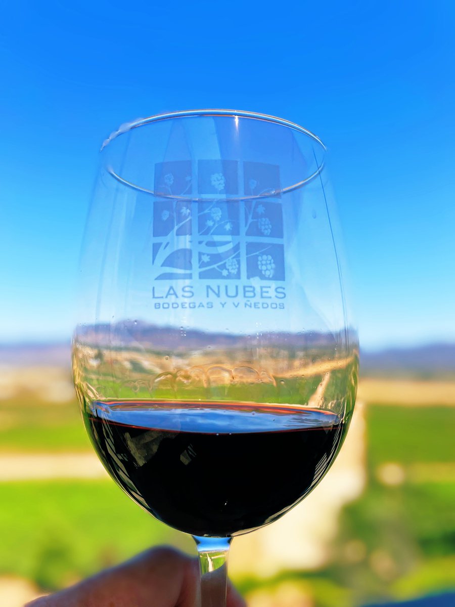 RoamingOwning's tweet image. Serene Scene 
Valle De Guadalupe Baja CA