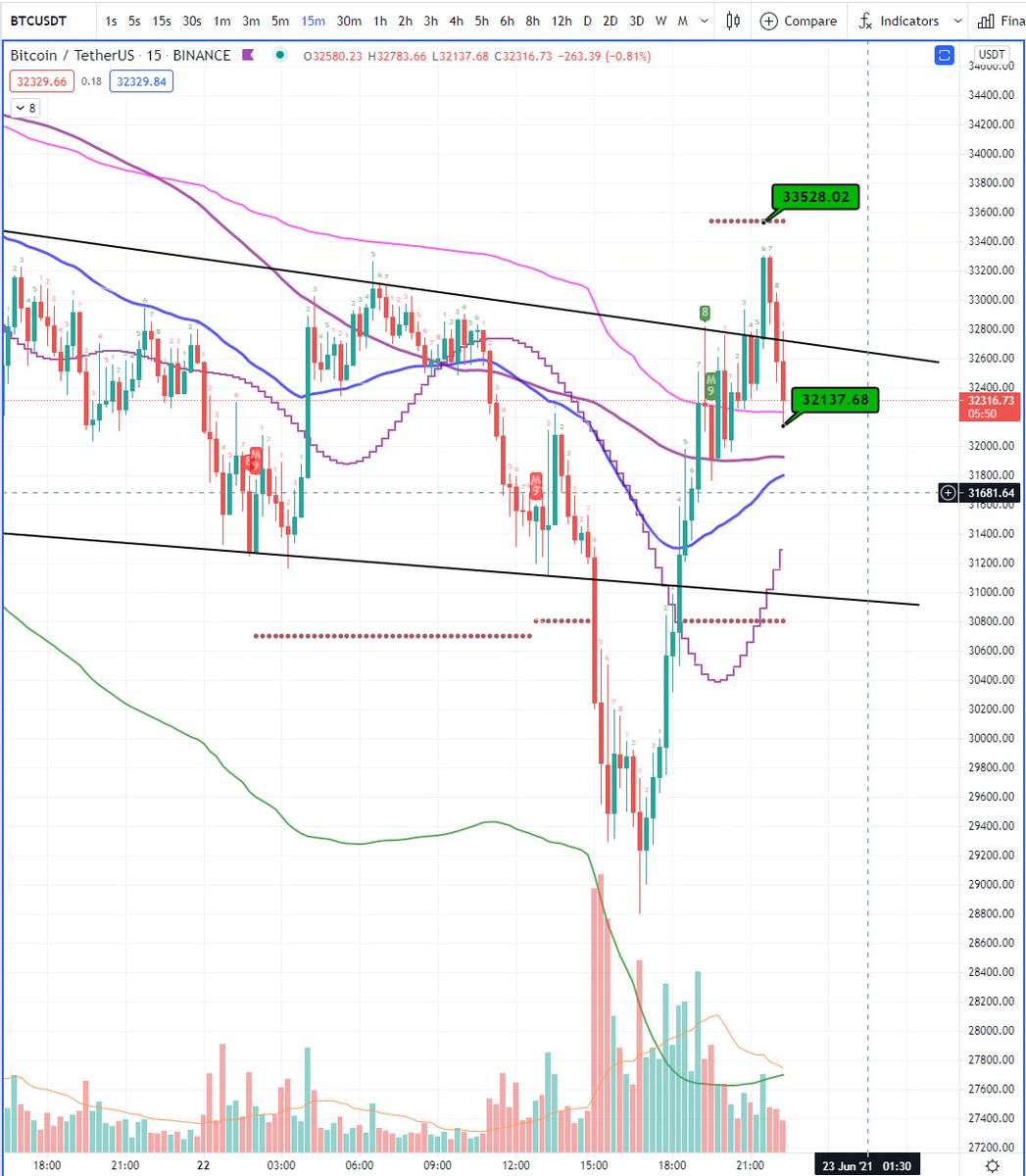 Curly the Crypto tweet media
