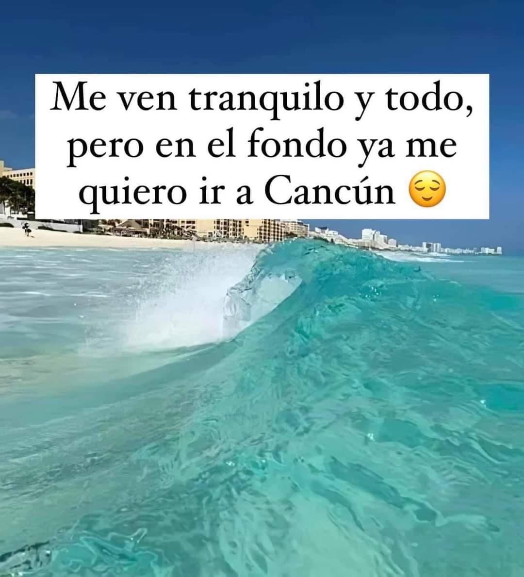 Tucancun's tweet photo. Me ven tranquilo y todo, pero en el fondo ya me quiero ir a Cancún #cancun https://t.co/uczUi01RKG