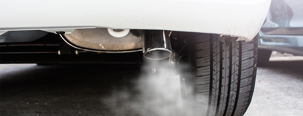 Isabelle LaBranche tweet media