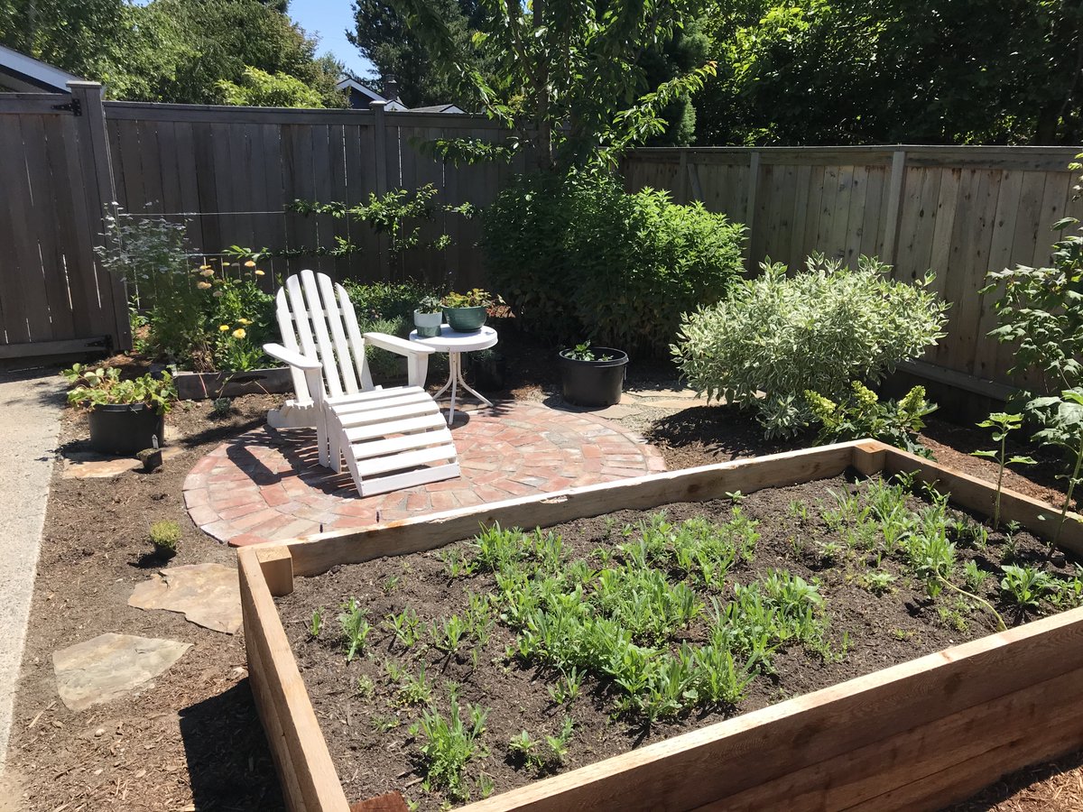 Our little backyard transformation project is complete. #nograss, #backyardlife, #seattlesummer