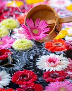 Tweets With Replies By Poly Ringo Ringopoly Twitter