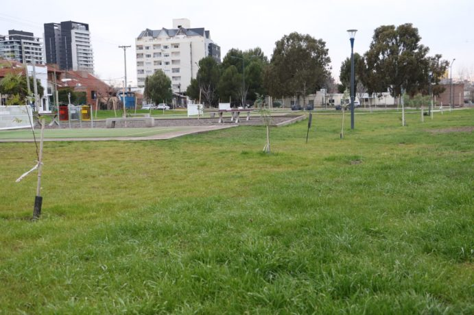 lavozdelneuquen's tweet image. Neuquén: Con el plan de forestación se plantaron solamente 4 mil árboles 
weblavoz.com.ar/secciones/muni… 
#plan #forestacion #4mil #arboles