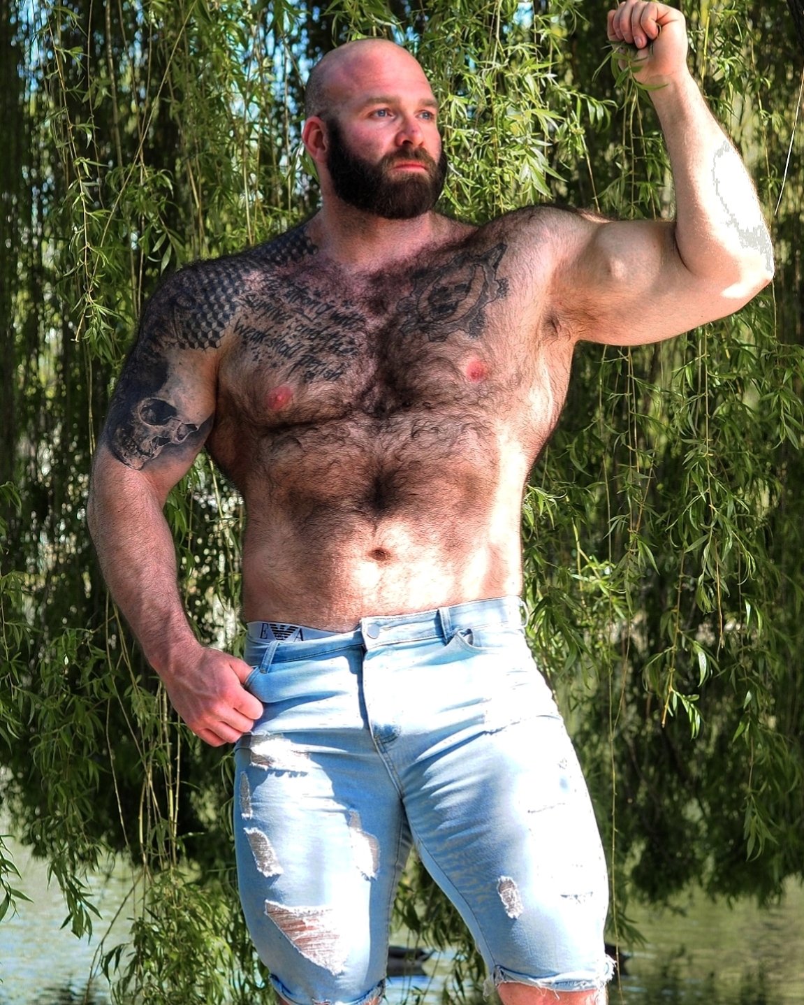 The human bear's stiff cock