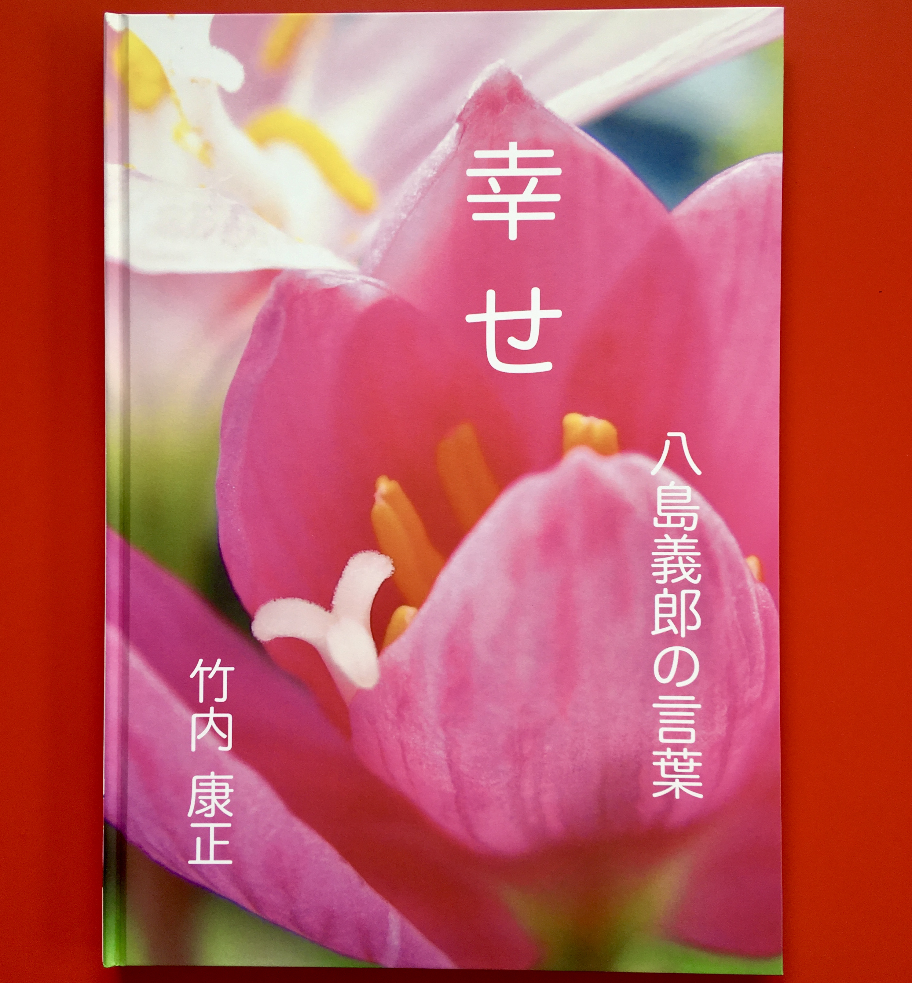 説話抄 八島義郎 説話抄 八島義郎 送料無料 「八島義郎先生 説話抄」 誠成公倫会
