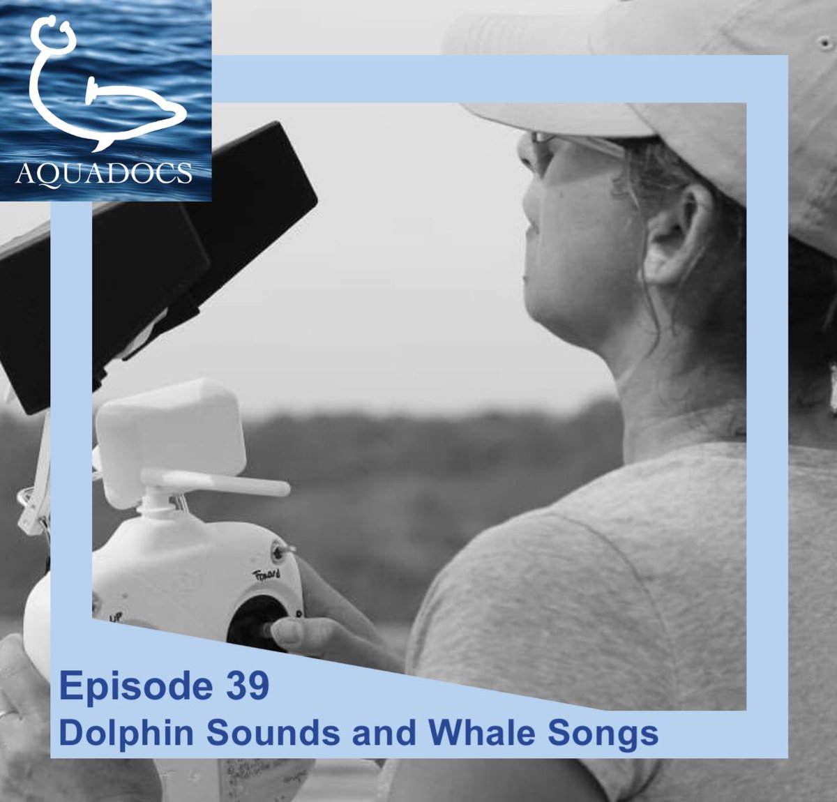 Is it possible to monitor dolphin health just through sound? On this week's episode of <a href="/AquadocsPodcast/">AQUADOCS</a>, Dr. Laura May-Collado, research associate at the Smithsonian Tropical Research Institute in Panama, discusses her research on marine mammal acoustic communication in Panama.