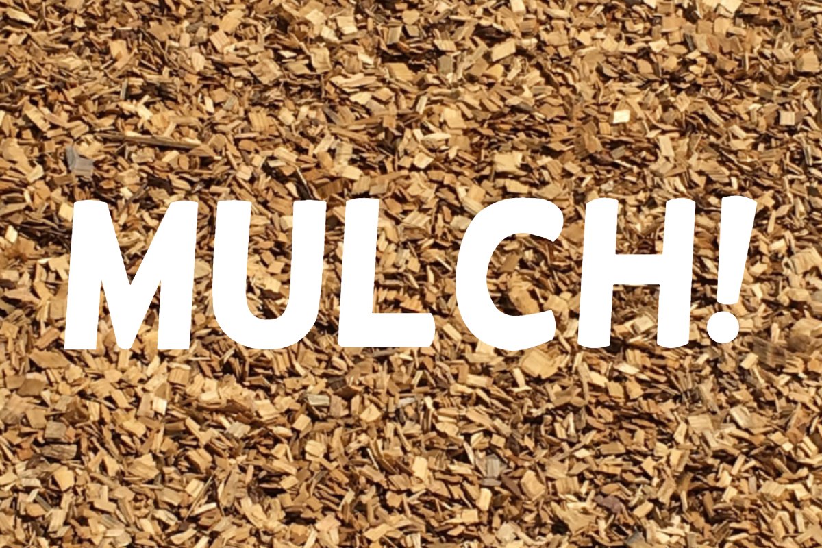 MTurfsupply's tweet photo. There's no better way to add curb appeal to your home. With fresh mulch, you can define your yard like a professional. To view our selections, visit us online: https://t.co/BFwnKIoGpW. #ModernTurf #Mulch https://t.co/PNp58C9Kx0