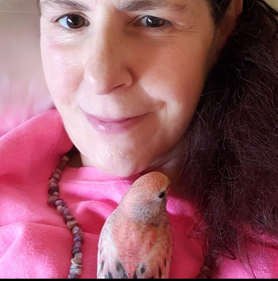 Lisa Carr (@lisacarr18) on Twitter photo 