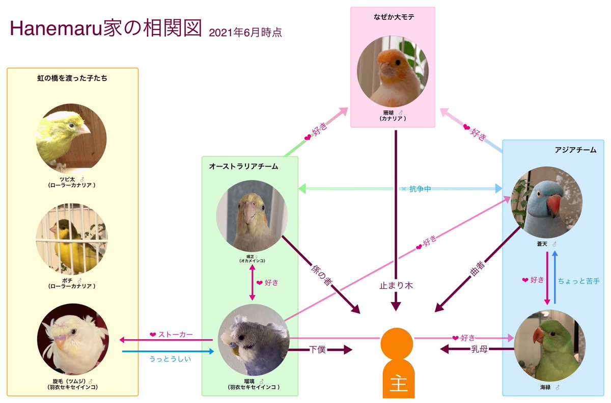 RoseRinged's tweet photo. 今現在のうちの子相関図。今後関係に変化があればまた更新します。 https://t.co/CuGXjQzFLn