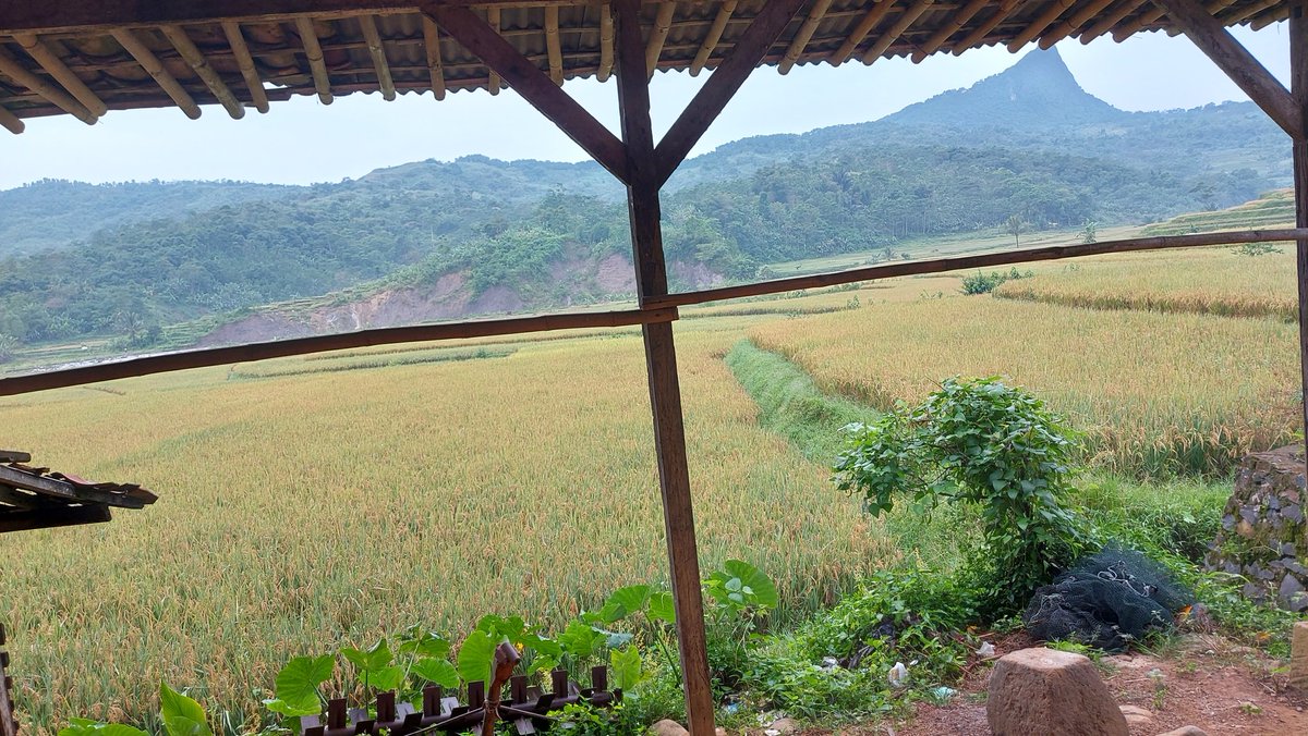 Empur (@empur99) on Twitter photo 