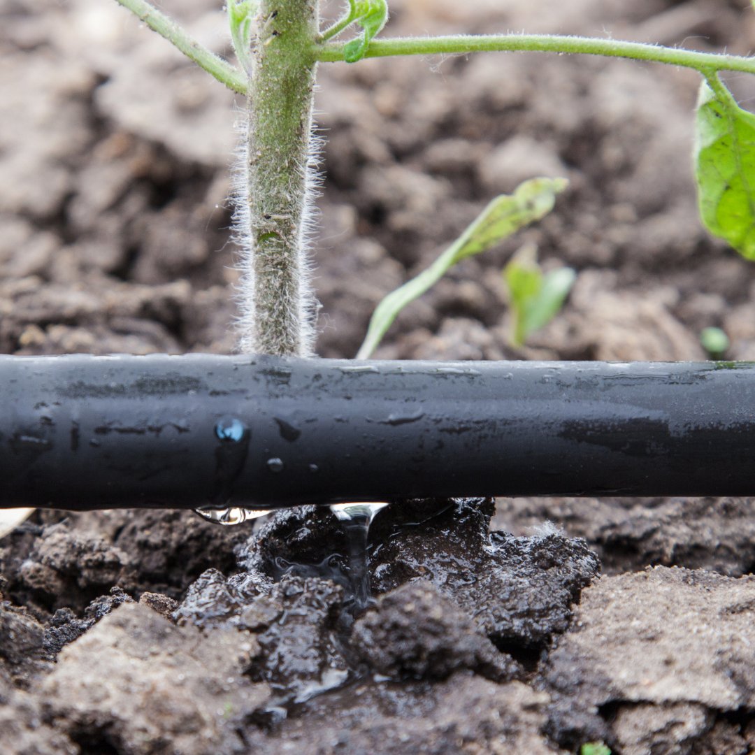 Your irrigation system allows you to deliver water exactly where it is needed and at exactly the right amount. A healthy soil should be approx 30-40% water 💧🌨️💙 

#thesmartgardenbook #gardenirrigation