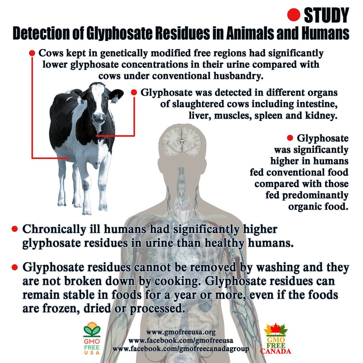GMOFreeUSA's tweet photo. A new EU study says that #glyphosate doesn't cause cancer, but people that used the herbicide products say it did. The undisputed FACT remains that it does not promote good health for any living things. https://t.co/mLTZBjUH7o