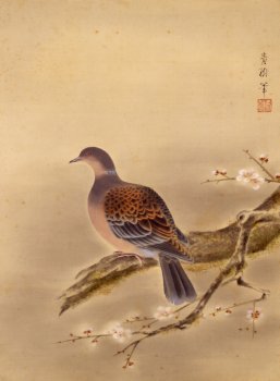 小茂田青樹《梅鳩》（#山種美術館）。中国・宋代の院体花鳥画は日本