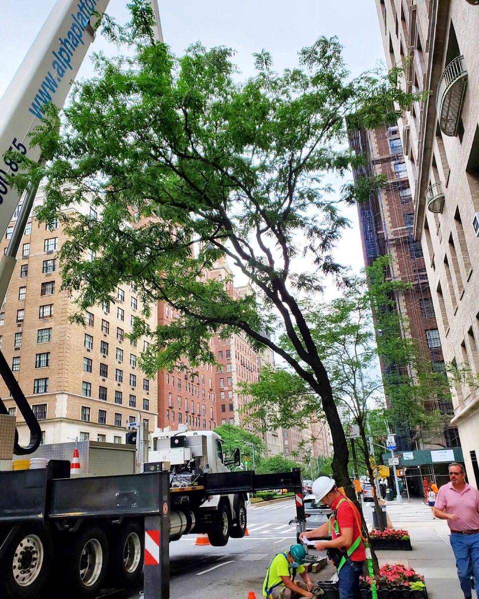 FSIArchitecture's tweet image. Getting ready for another facade inspection on Park Avenue this beautiful summer morning #FISP #FacadeInspectionSafetyProgram #FSIArchitecture #inspection #FacadeInspection #DOB
#QEWI #QualifiedExteriorWallInspector #LL11 #facades #architecture #BrownHarrisStevens #AlphaPlatforms