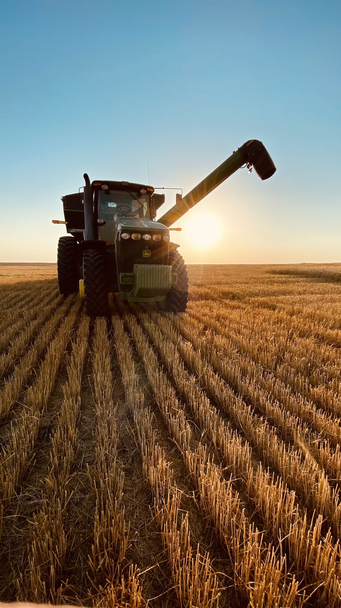 #harvestsunset #wheatharvest21 #kswx #kansas #deeresighting